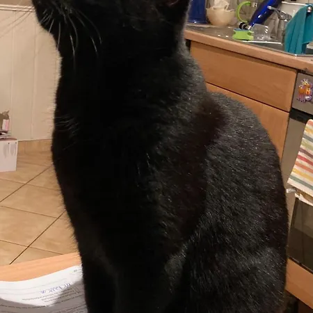 Zu Hause Apartamento