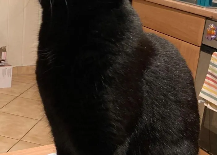 Zu Hause Апартаменты