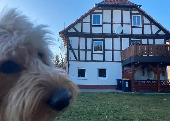 Апартаменты Zu Hause