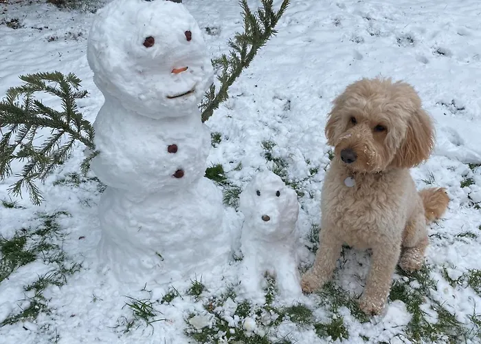 Zu Hause Апартаменты Ostritz